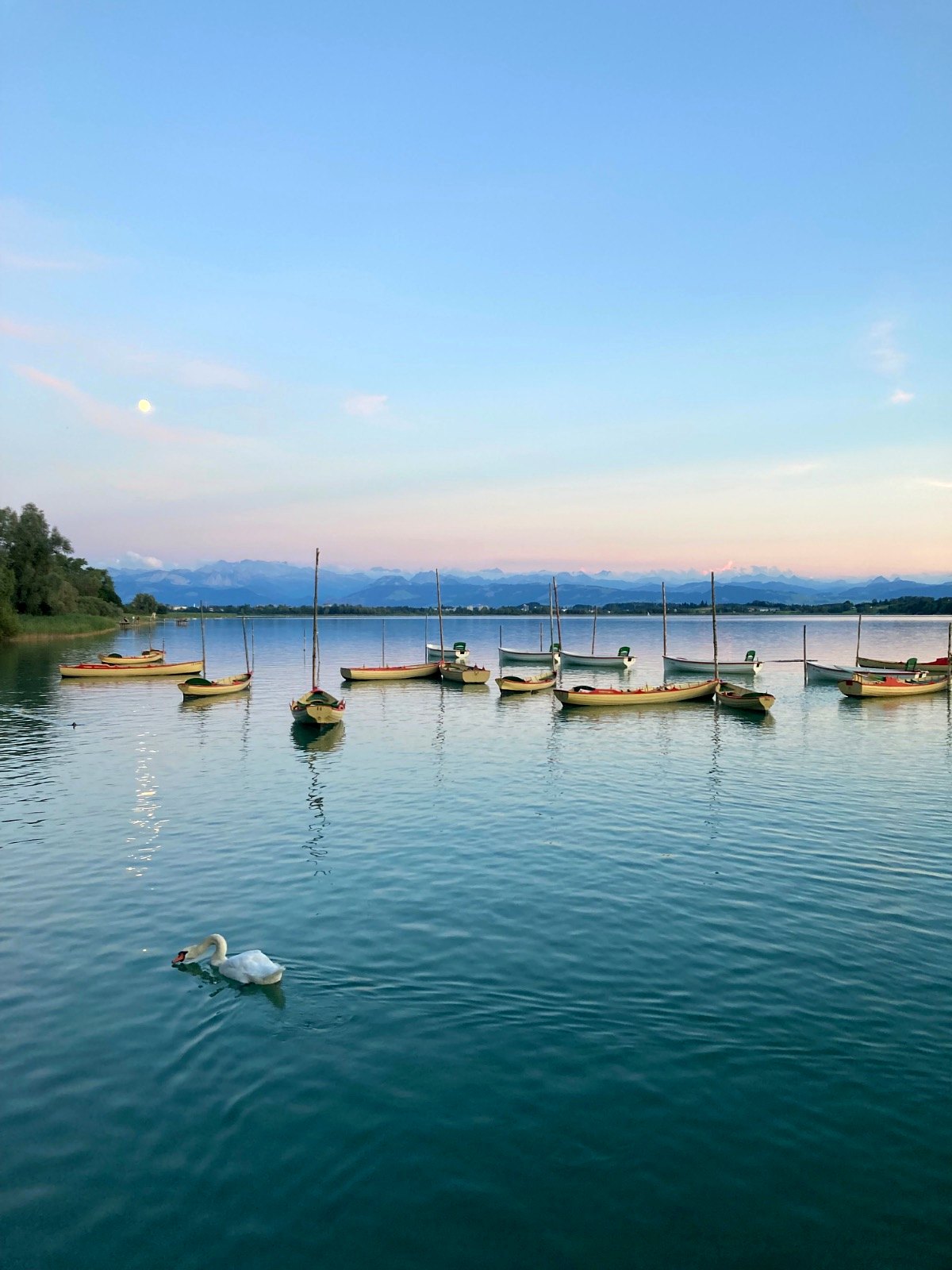 Pfäffikersee mit Booten und Alpen